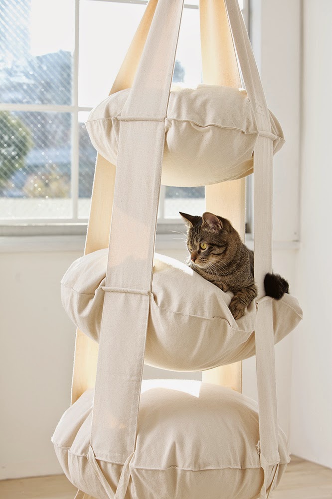 Catladyland Cats are Funny Preorder The Cat's Trapeze! Save 10!