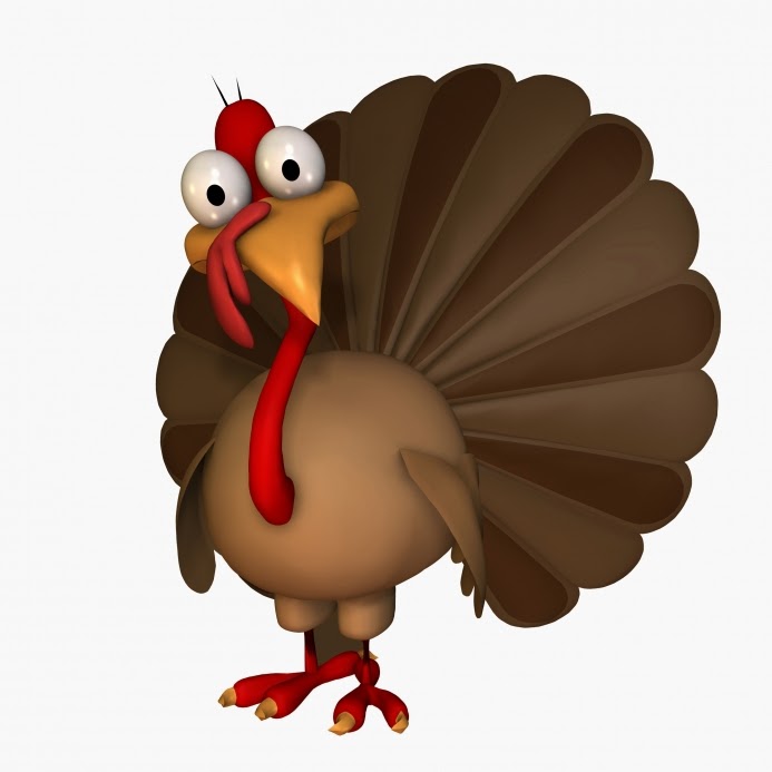 What is the flap of skin under a turkeys chin called?