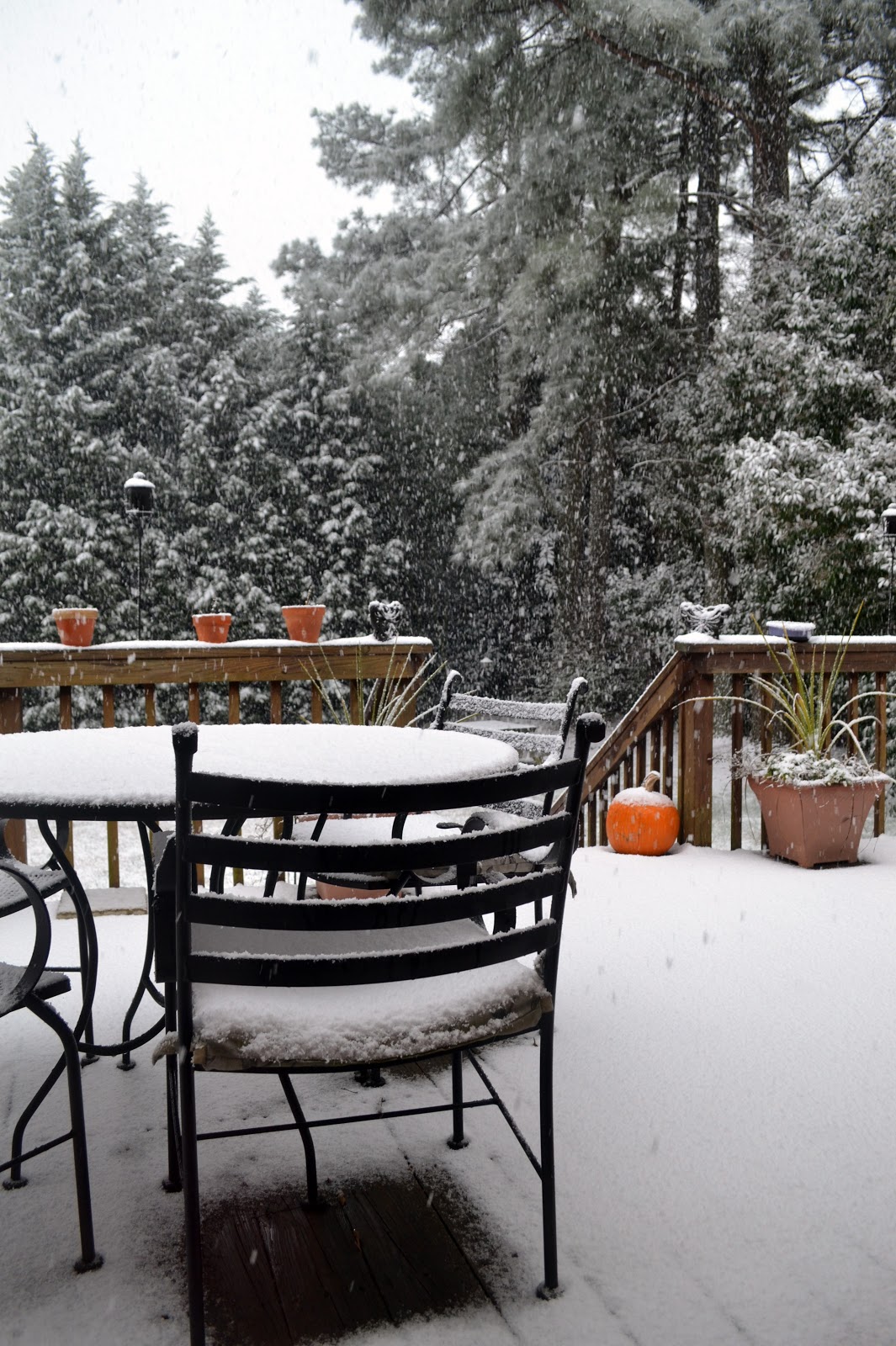 bonbons & biscotti Halupki (Cabbage) Casserole