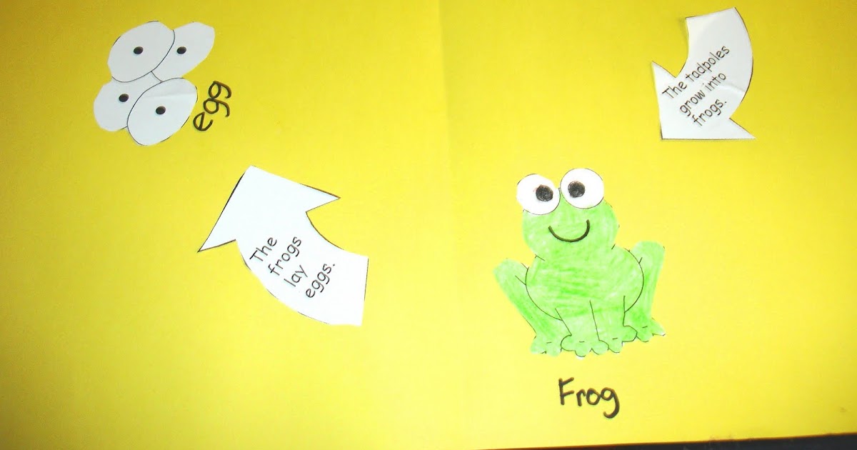Learning Ideas - Grades K-8: Frog Life Cycle Craft Project