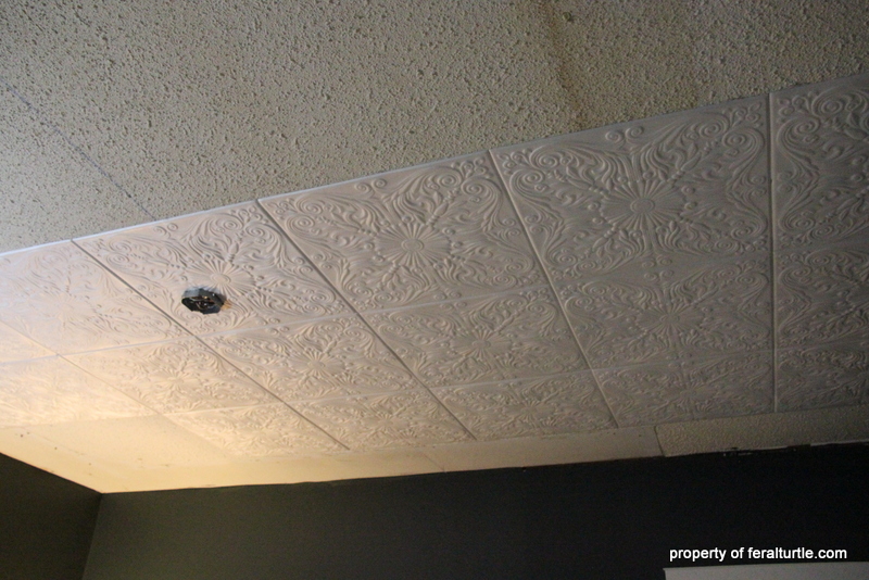The Feral Turtle Ceiling Tiles Are In!! Canada Ceiling Tiles Gets a Big F!