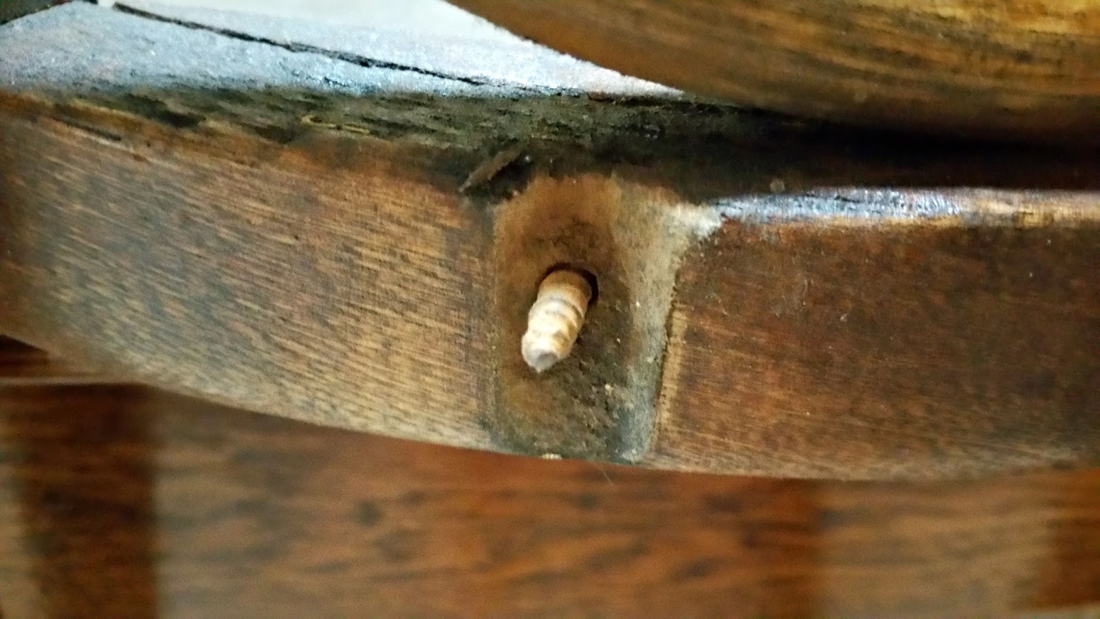 How to Repair a Simple Broken Wood Chair Redo It Yourself