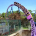 Hidup itu Ibarat Roller Coaster