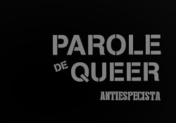 parole de queer 7