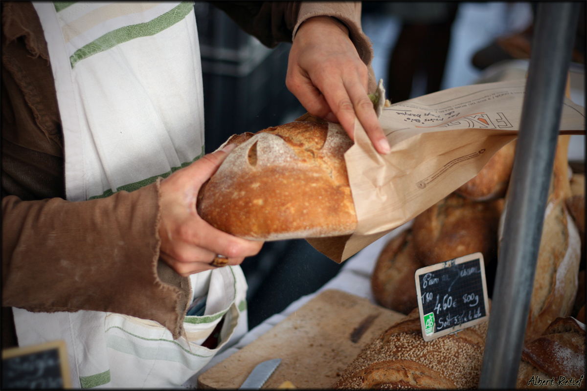 Basque Bread