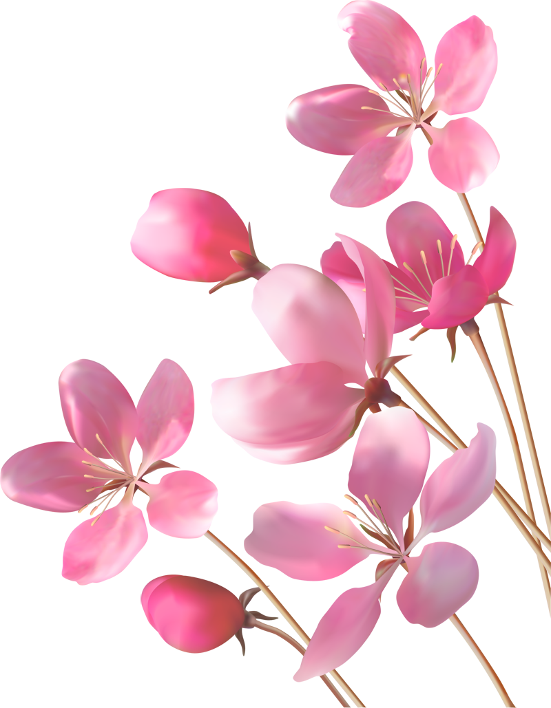 Блог Колибри: PNG Клипарт "Beautiful flowers"