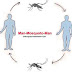 Cikungunya -Gejala Dan Penularannya