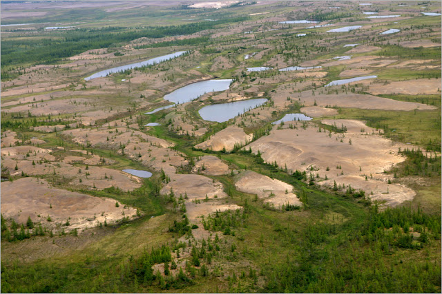 Красноярский край. Таймырский полуостров.