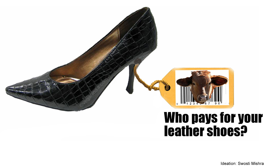 Vegan Shoe Store Oak Park Vegan Shoe Store Oak Park