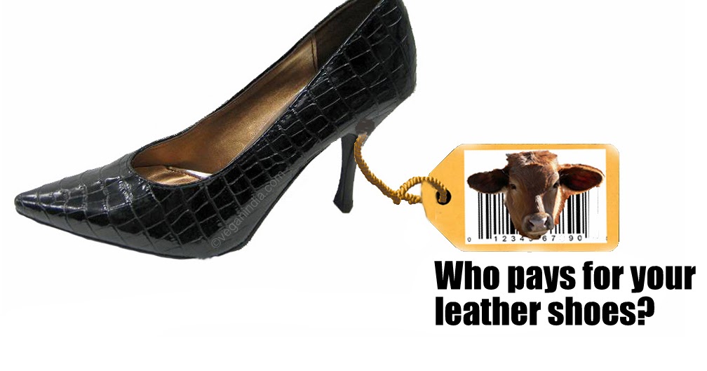 Vegan Shoe Store Porter Square Vegan Shoe Store Porter Square