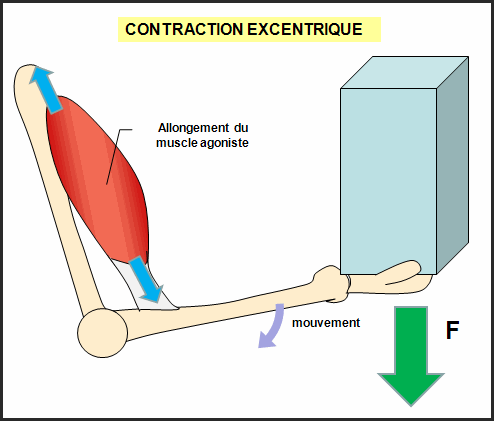 Résultat de recherche d'images pour "exercice concentrique"