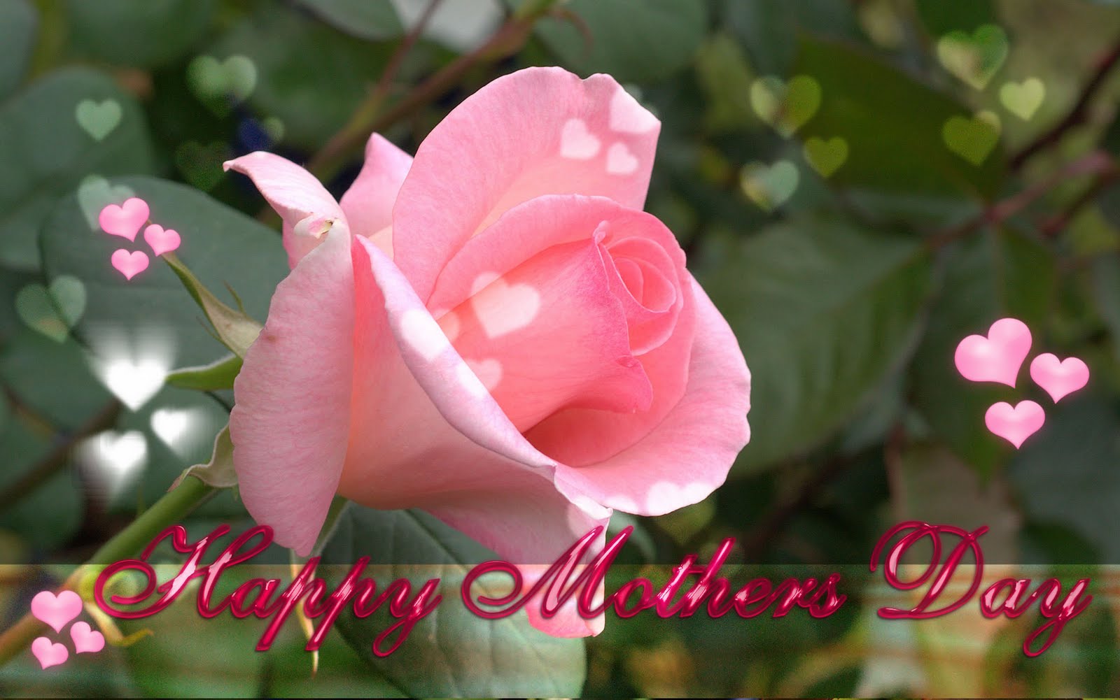 http://4.bp.blogspot.com/-73kYIWffTzk/TcZT4K6_oXI/AAAAAAAABSM/gEXcckooTIA/s1600/Mothers%2BDay%2BWallpapers%2Bby%2Bworld%2Bcurrent%2Bevents%2B%25283%2529.jpg