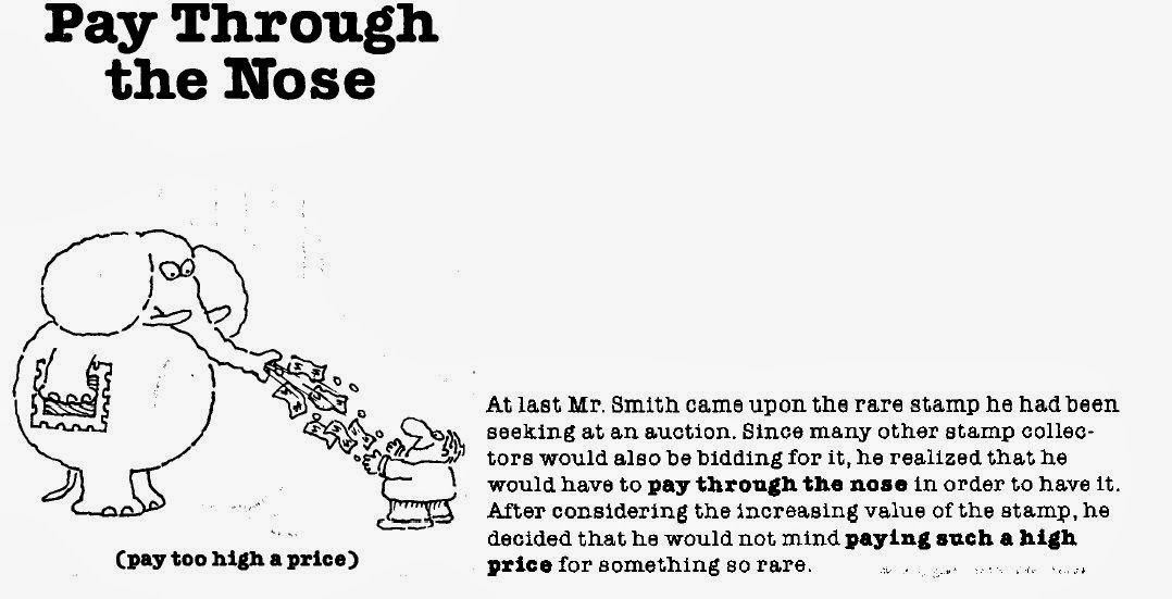 The Challenge of Learning US English Today’s Idiom Pay Through the Nose