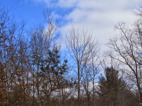 winter sky
