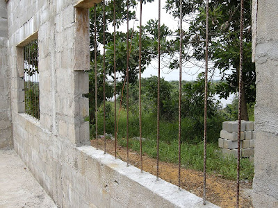 View of river through trees, from east-end classroom