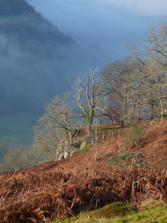 Wye Valley