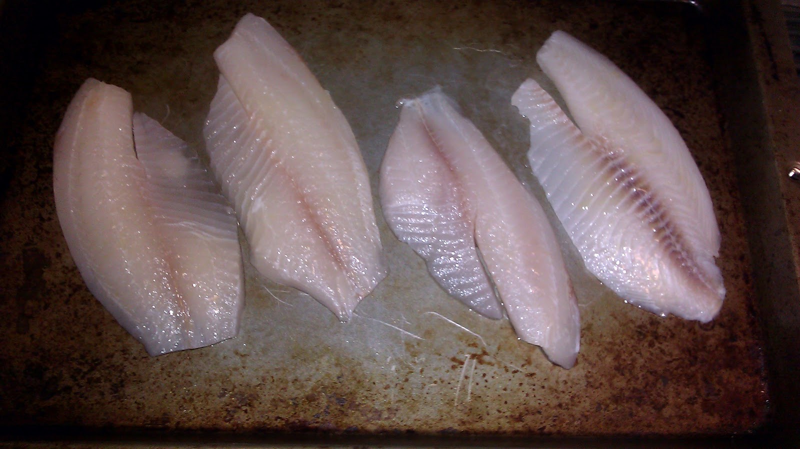 Palak's Palate Tilapia Cakes/Patties and Raita Recipe