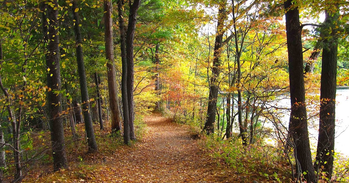 Saratoga woods and waterways Hunting for Autumn's Glory