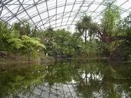 artificial ecosystem