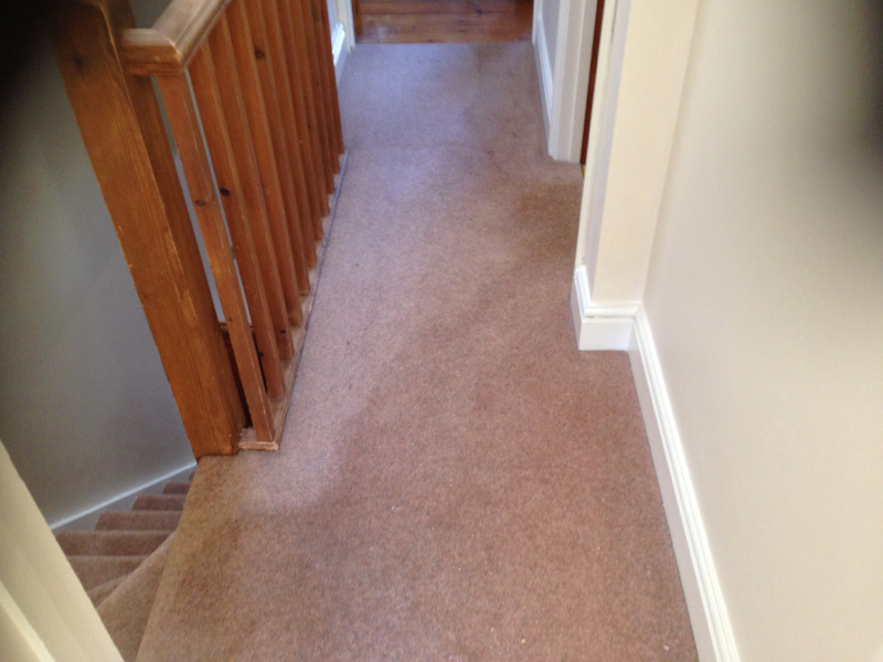 Watermark on my carpet pile reversal explained Art of Clean UK