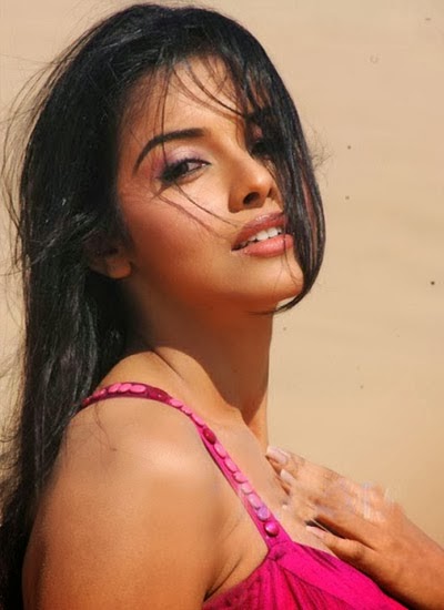 http://beautifulhdimages.blogspot.com/2014/01/indian-actress-asin-new-wallpaper.html