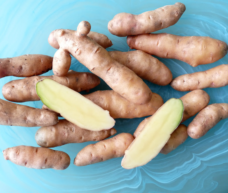 pink fir potatoes