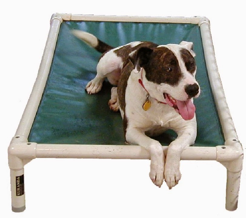 Tough Dogs Beds Tough Dogs Beds
