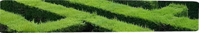 Curso jardineria