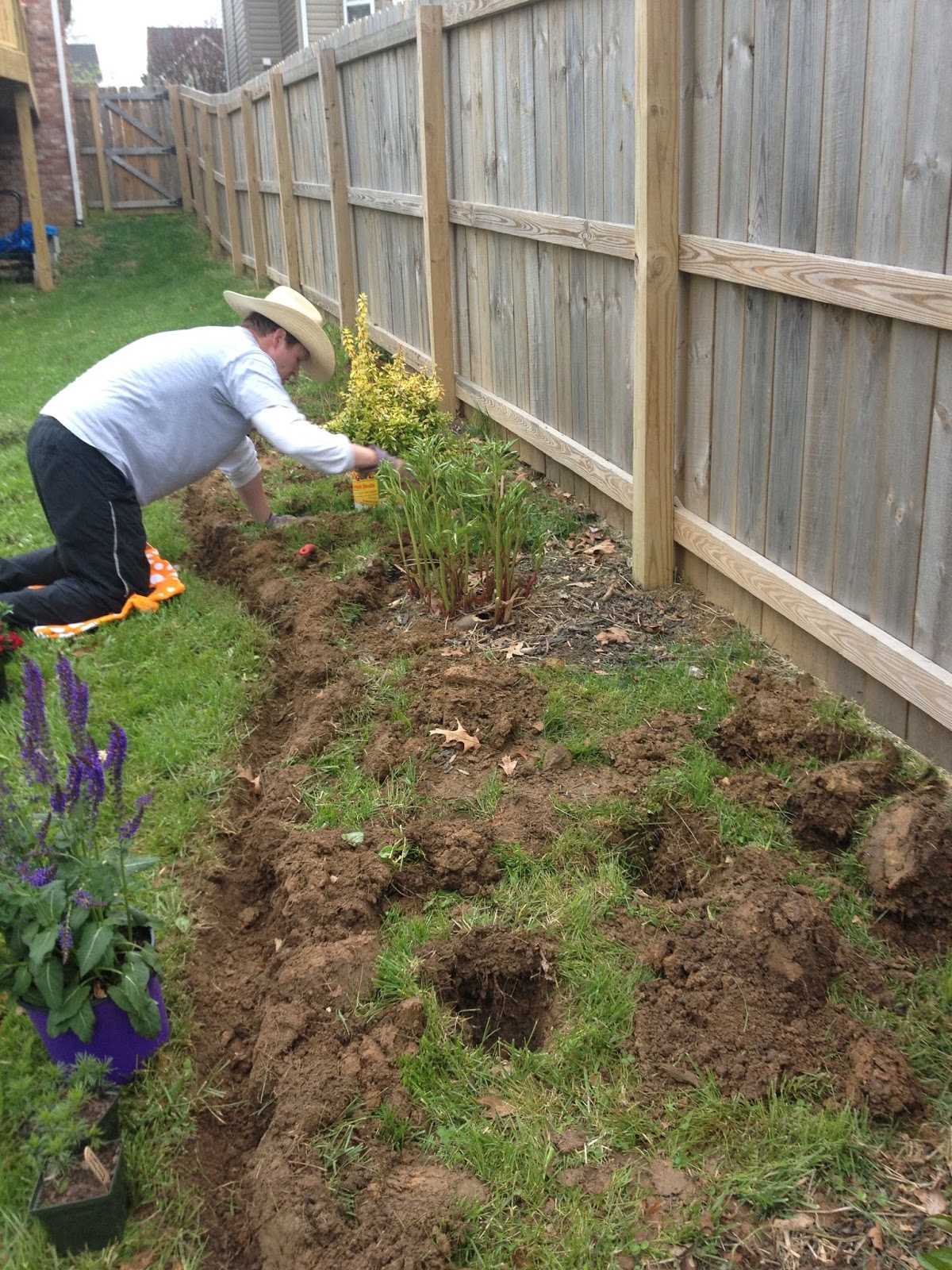 Emily Ann Interiors Installing A New Flower Bed