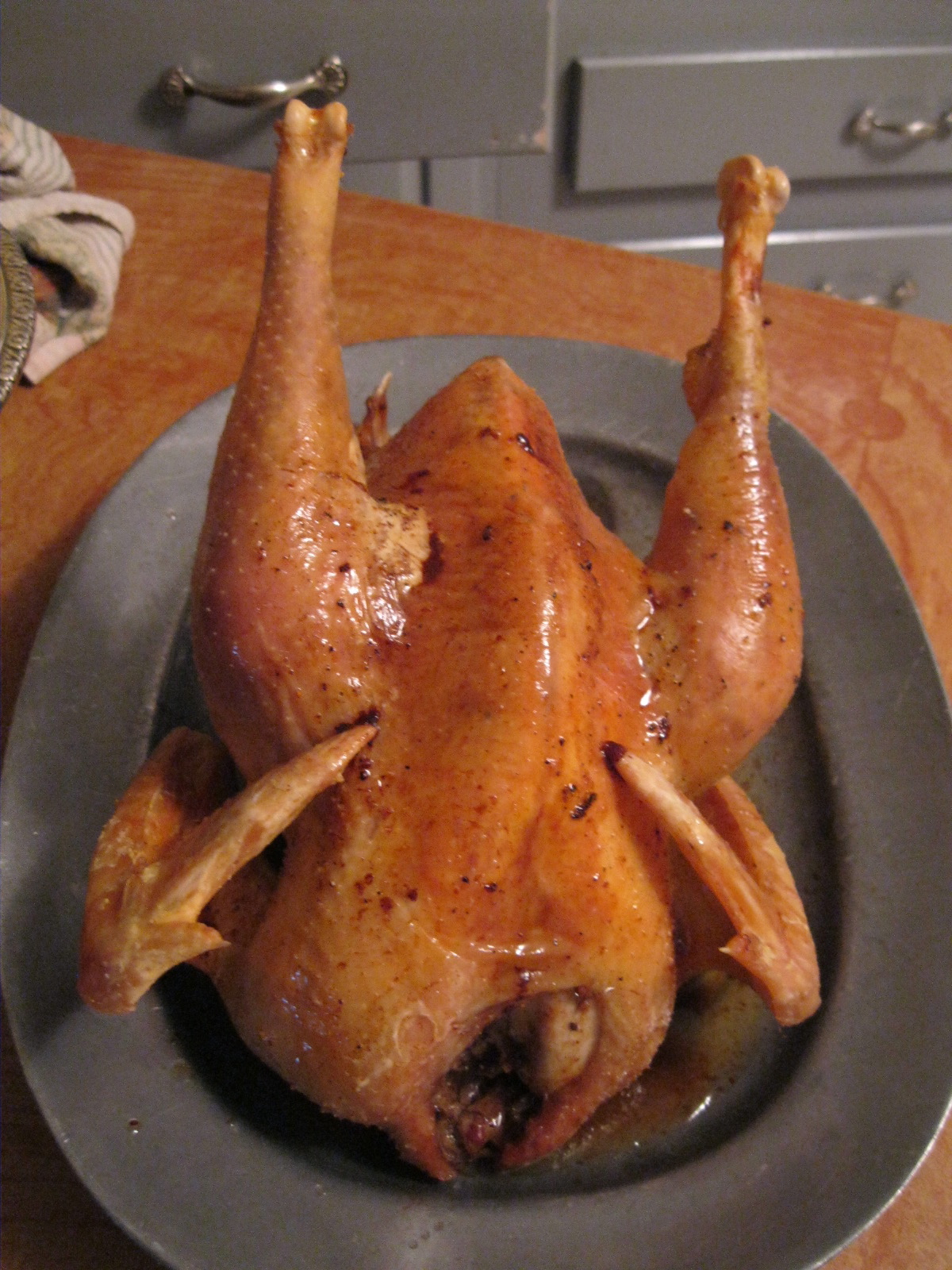 Raising Cornish X Meat Birds for Processing Community Chickens