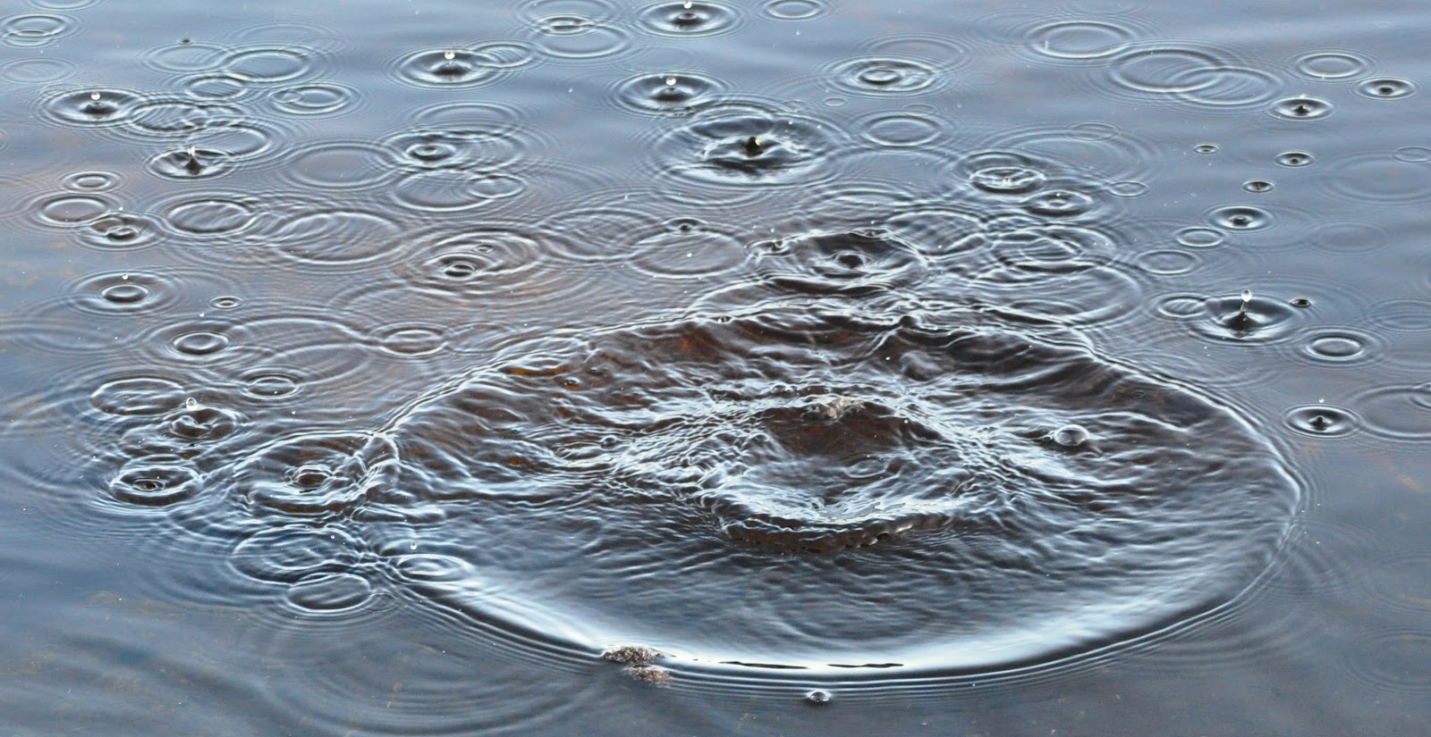 My Small Stones Rings in water