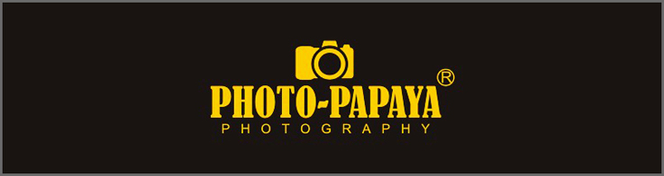 FOTO-PAPAYA