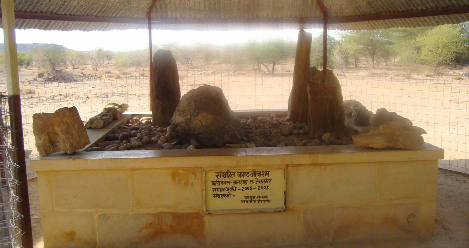 Akal Wood Fossil Park, Jaisalmer Travel Diaries