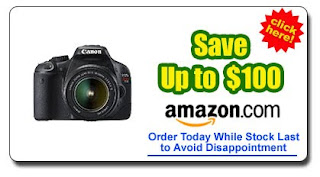 Recommended Canon T2i Lenses