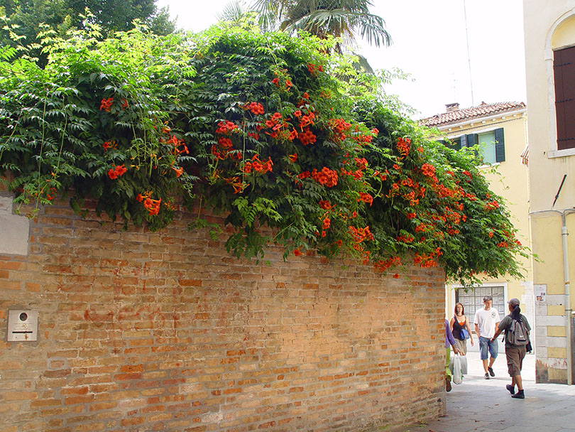 5 Reasons to Visit Venice: Romance and the Arts in Italian Veneto