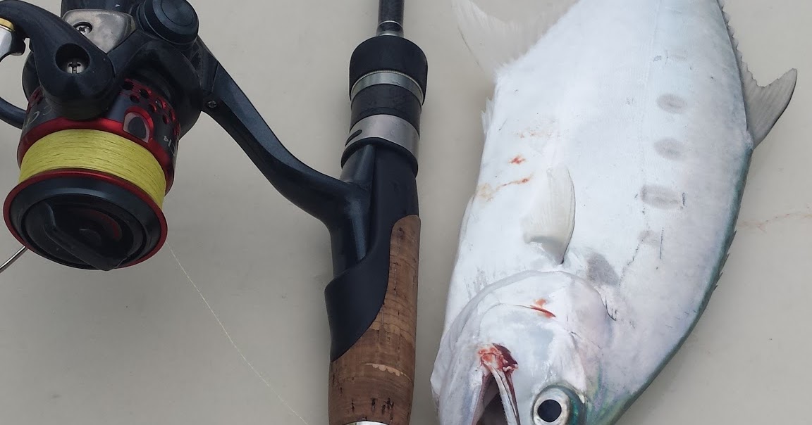 Micro jigging The micro jigging blog Tips For Micro Jigging Setup