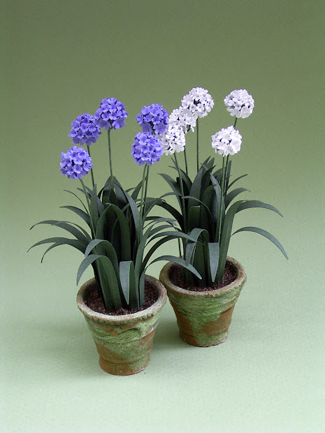 miniature garden mediterranean