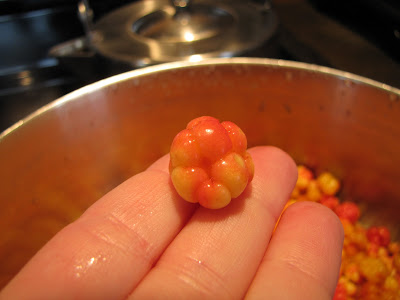 bakeapple jam ripe berry almost