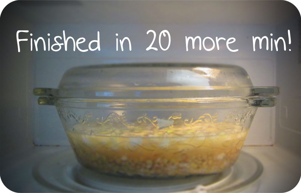 Can You Microwave Tinned Lentils? A Comprehensive Guide Organic Vegan SuperFoods