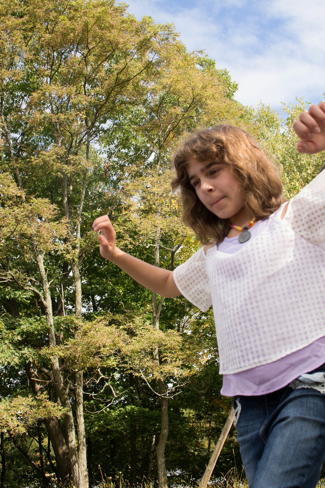 Fishkill 2014 Sharpe Reservation Camp Mariah Low Ropes Course