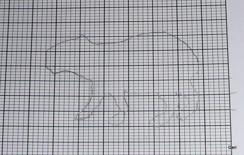 NOT JUST ABOUT KNITTING: Capybara Scarf Update