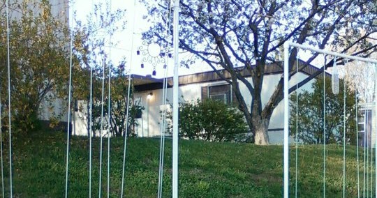 Adventures of a Thrifty Mama on a City 'Stead: Gardening in Small Spaces