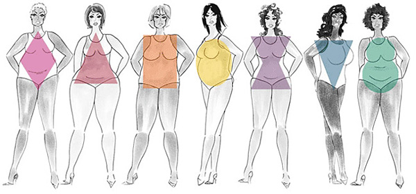 The Curvy & The Curveless: Male & Female Body Types: Guidelines (TT)