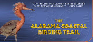 Alabama Gulf Coast Alabama Bird and Nature Festival