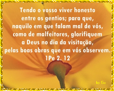elaborada por minha amada esposa