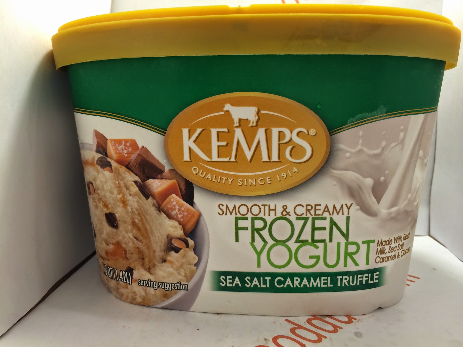 Crazy Food Dude Review Kemp's Sea Salt Caramel Truffle Frozen Yogurt