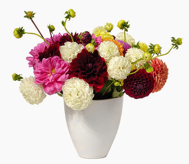 Send Flowers to Your Loved Ones Online Flower With Styles