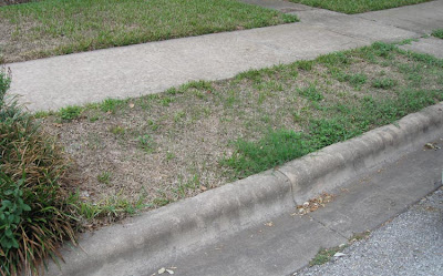 Annieinaustin, B4 parking strip