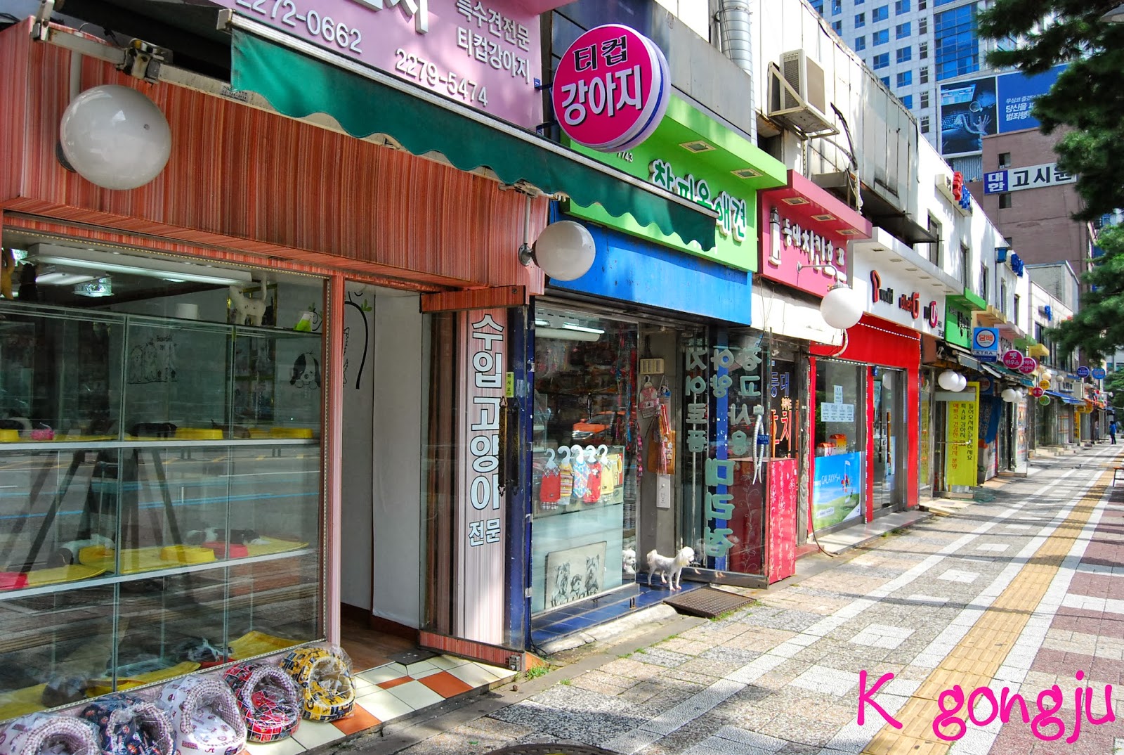 K GongJu Places to visit near Chungmuro Station + Chungmuro Pet Street