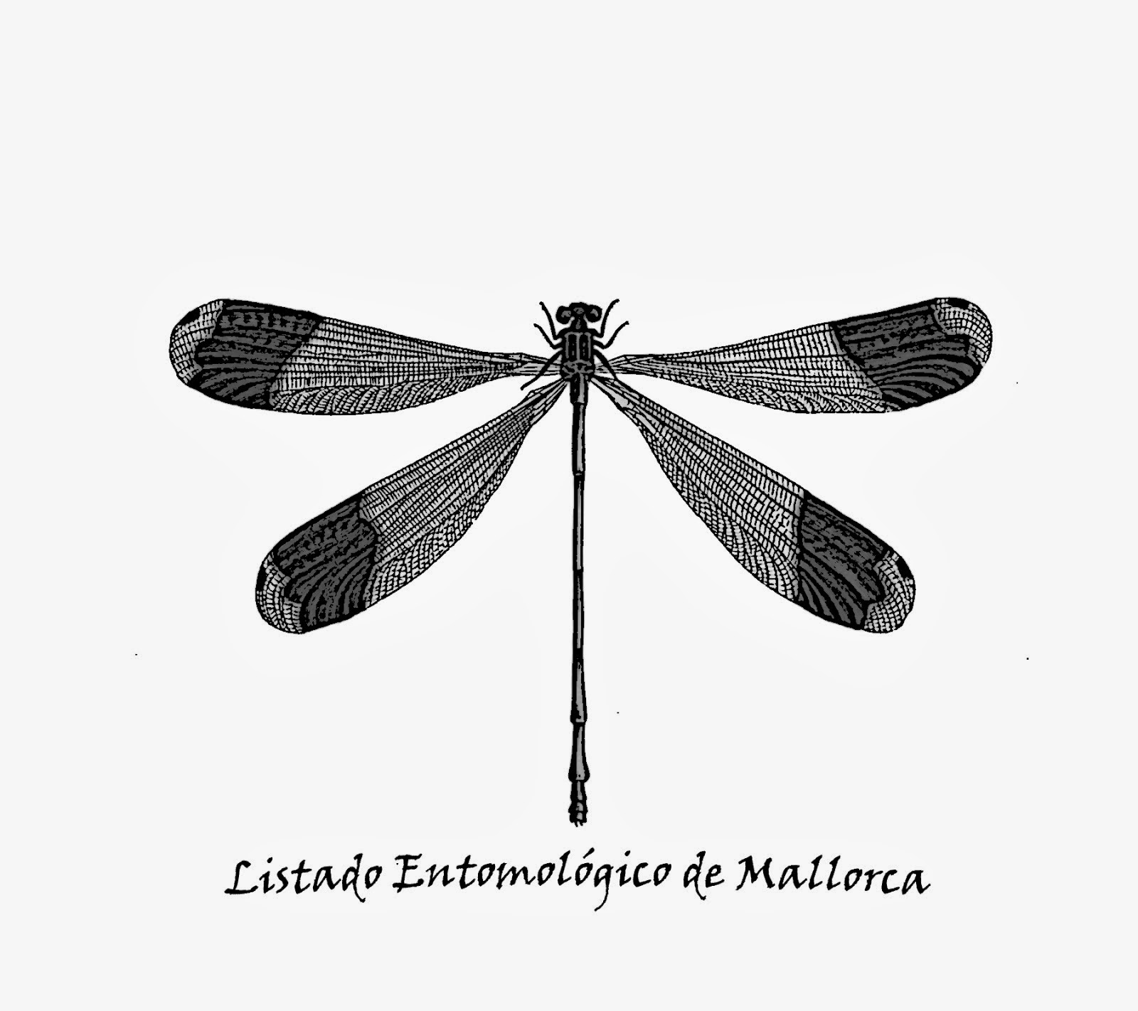 Listado Entomológico de Mallorca